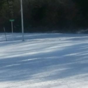 Meet your Posher, Nisha